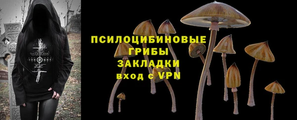 прущие крисы Бородино