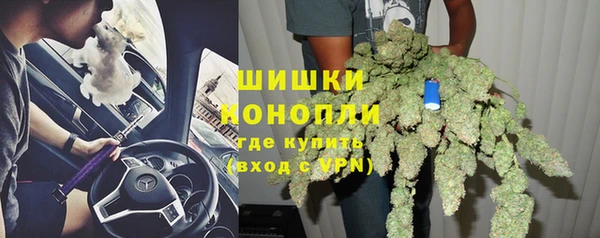 мдпв Верея
